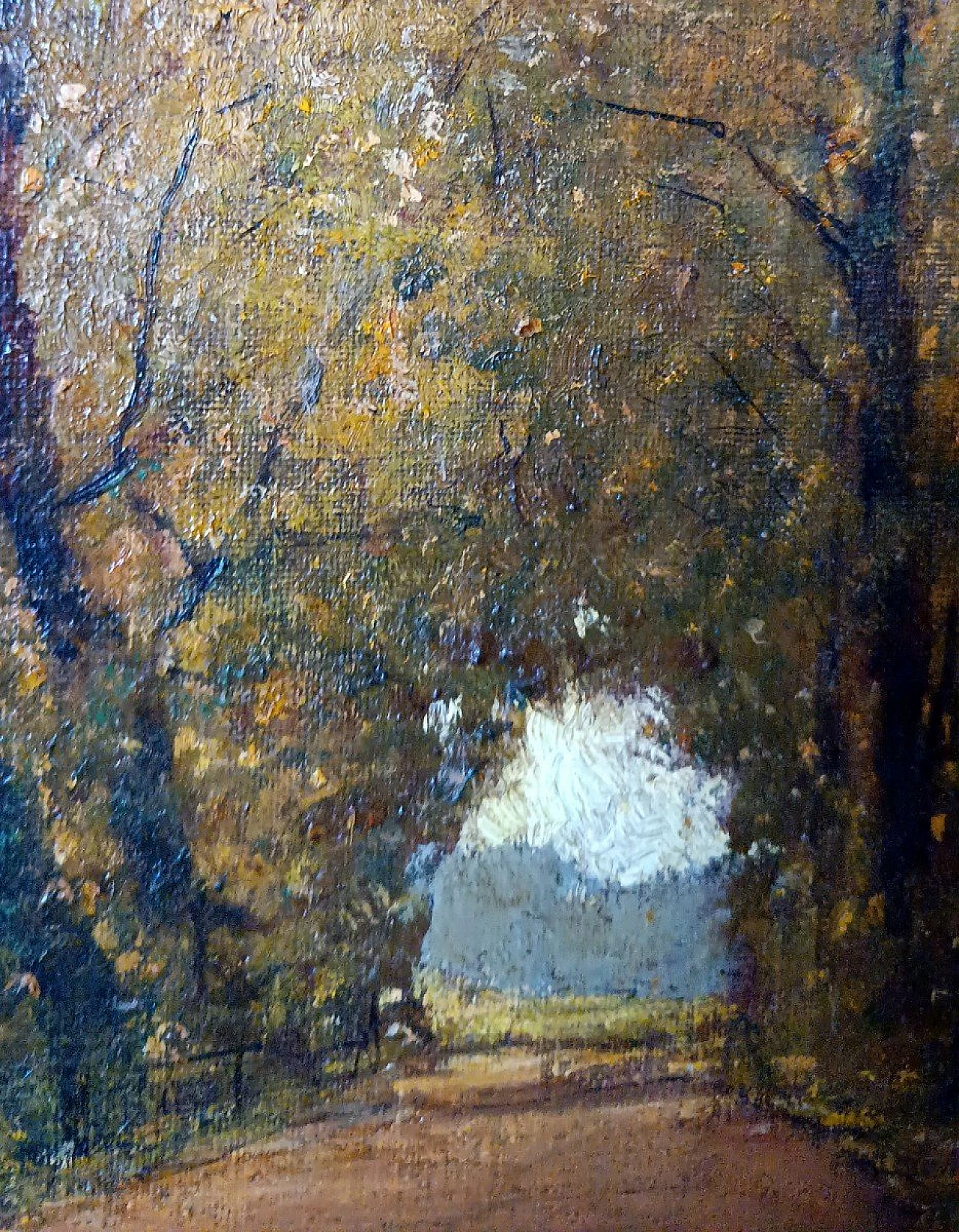 Scorcio con alberi, dipinto a olio su tela, fine '800 9