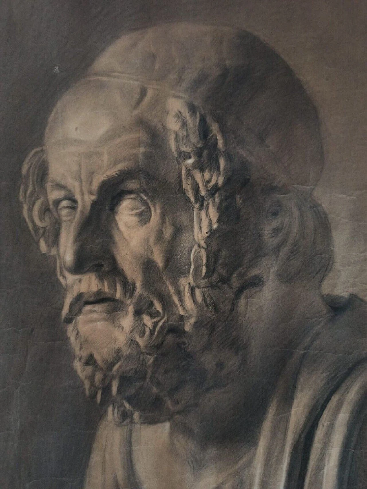 Busto di Omero, disegno a carboncino su carta, '800 3