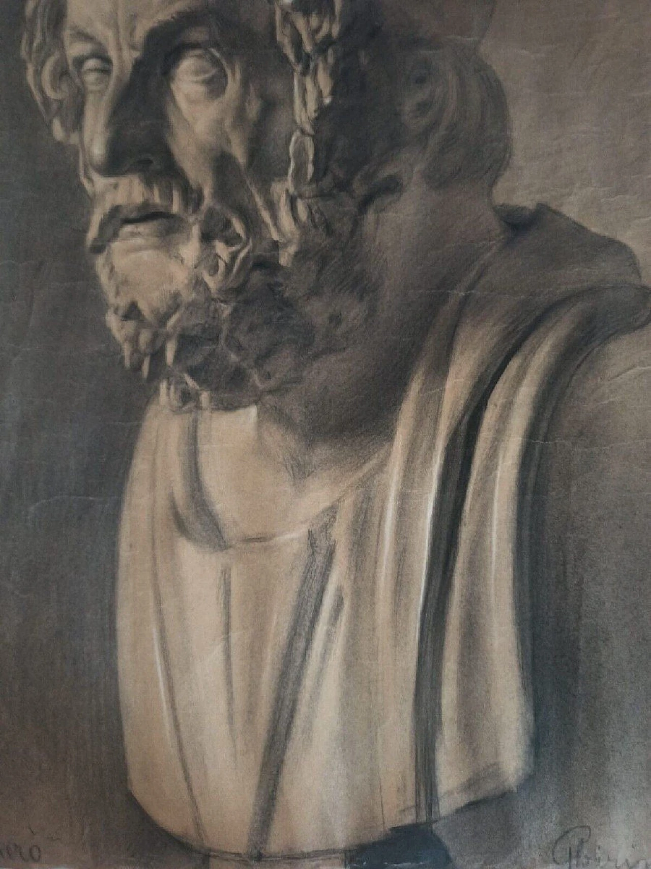 Busto di Omero, disegno a carboncino su carta, '800 4