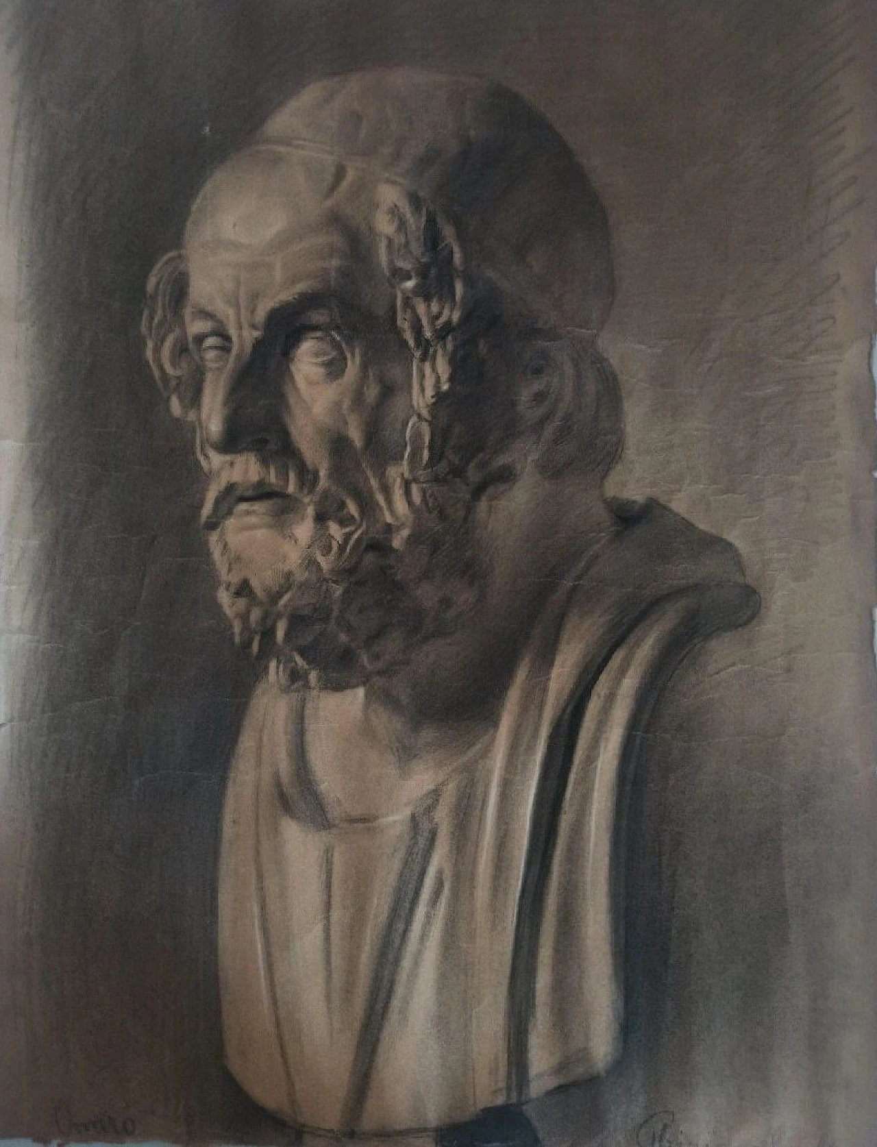 Busto di Omero, disegno a carboncino su carta, '800 9