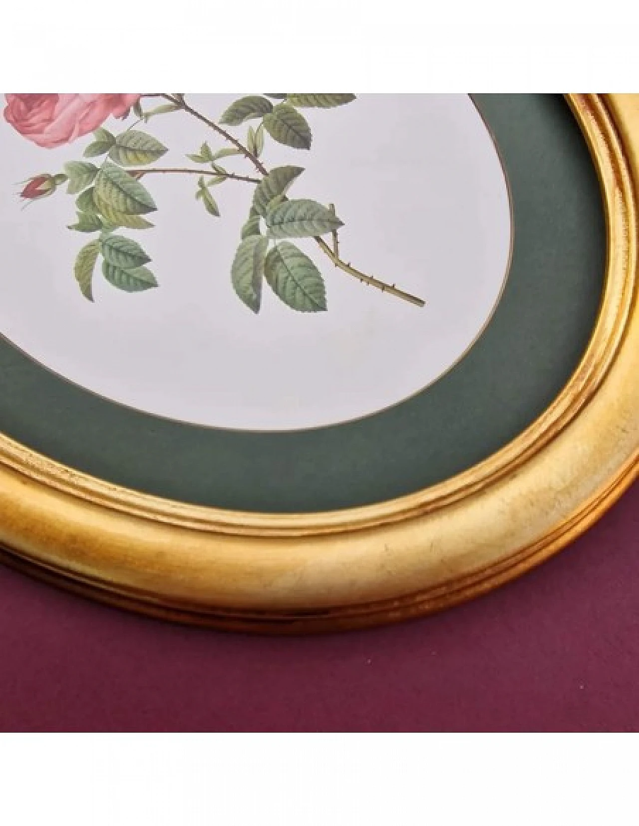 Pierre-Joseph Redouté, rose, anastatic lithography, 1959 7