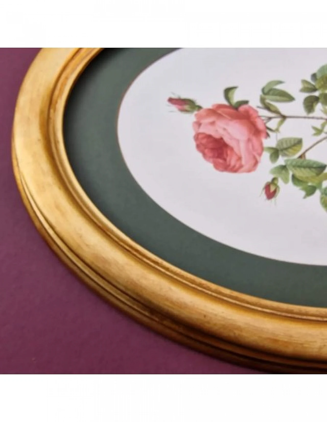 Pierre-Joseph Redouté, rose, anastatic lithography, 1959 8