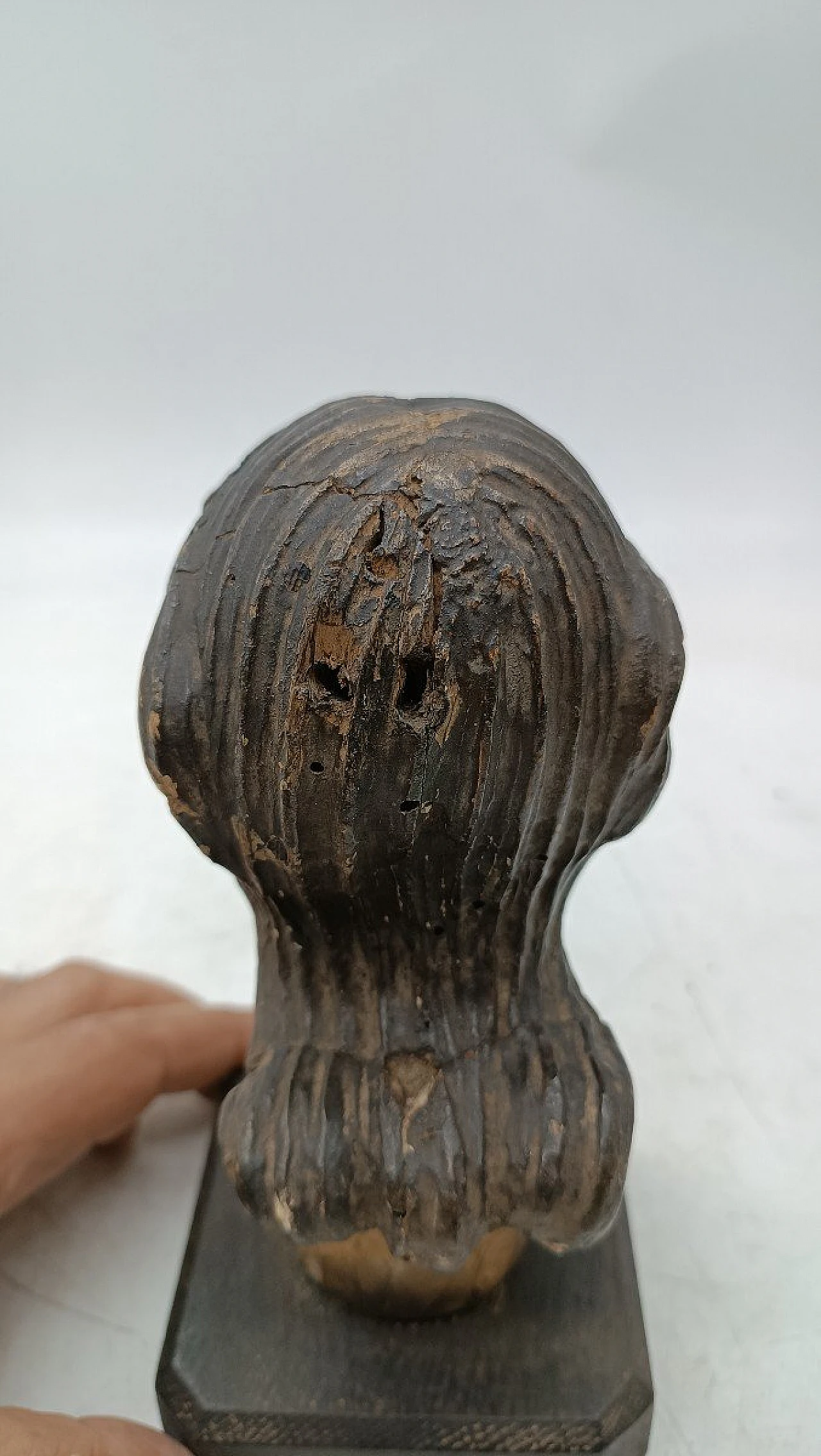 Testa di Cristo, scultura in legno policromo, '700 8