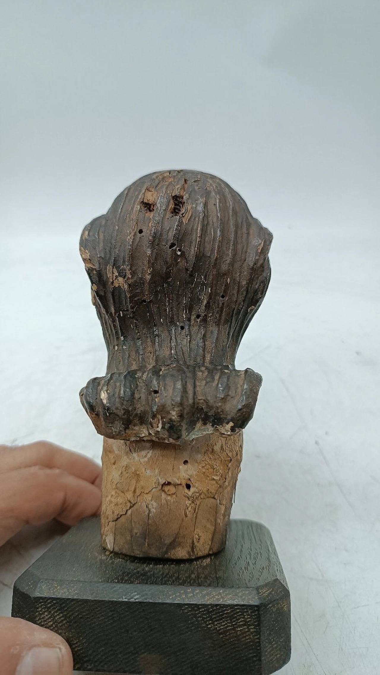 Testa di Cristo, scultura in legno policromo, '700 9