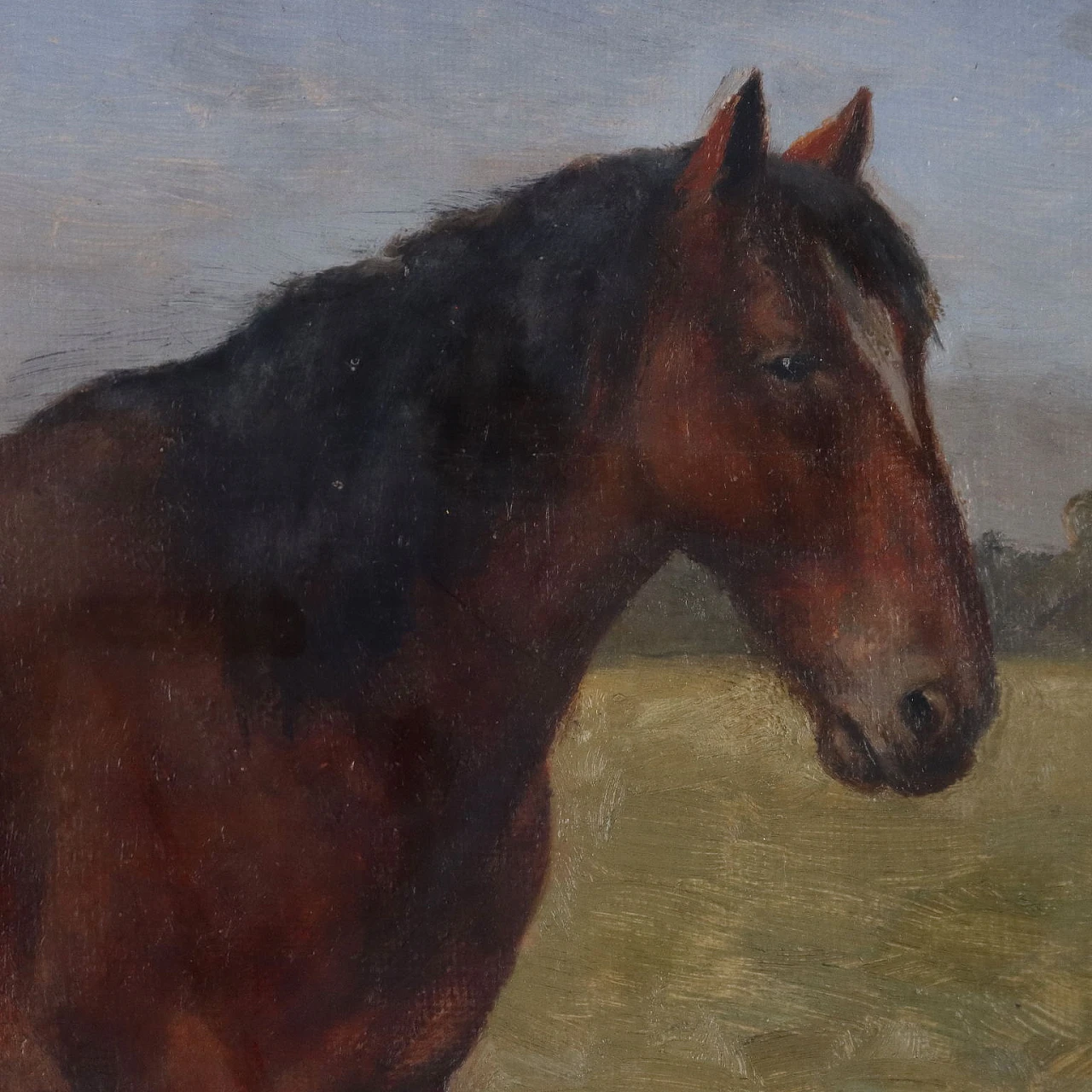 Joseph Dixon Clark, Horse, oil on cardboard 3