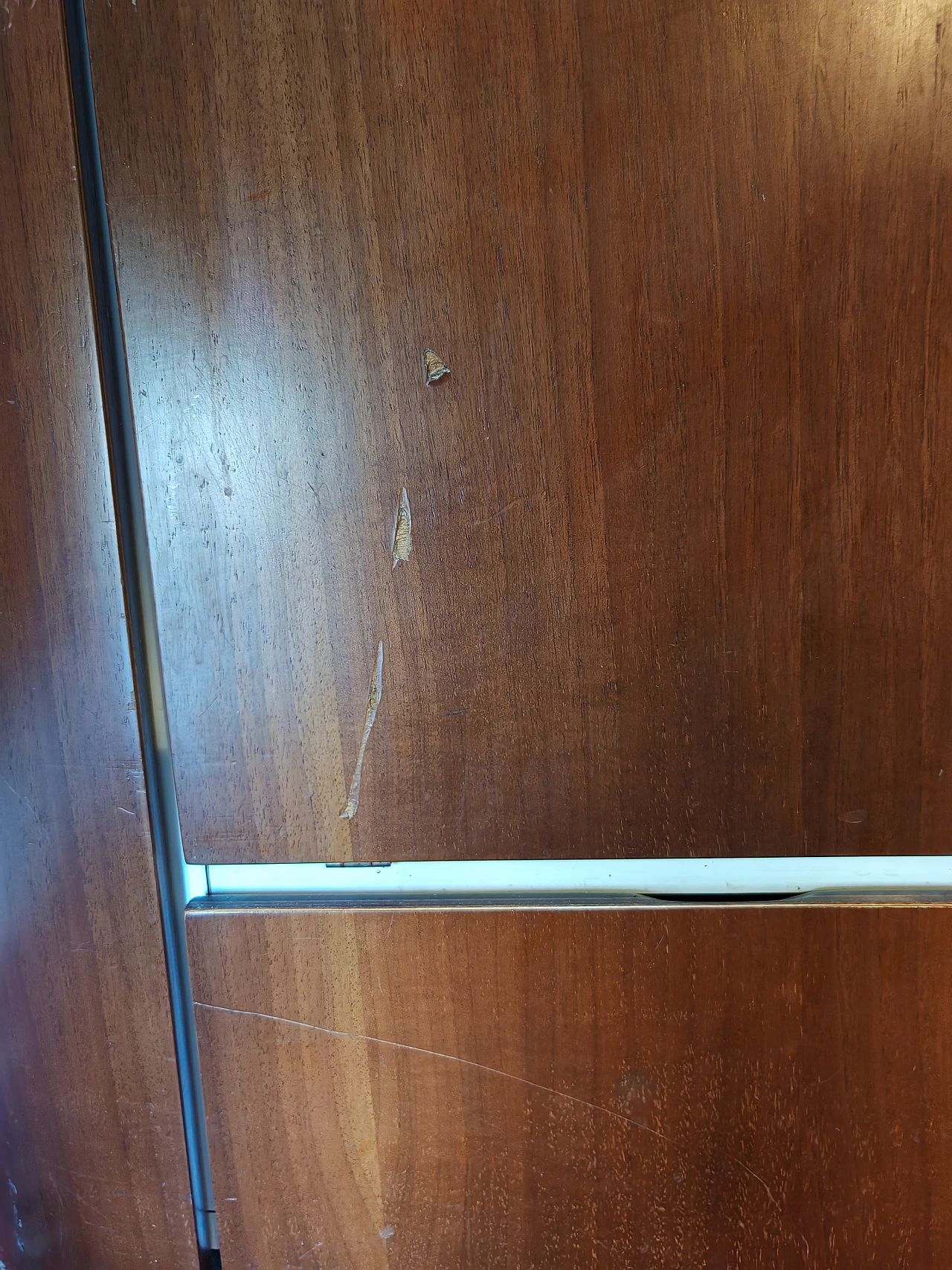 Bar cabinet with wheels by Fiarm, 1960s 12