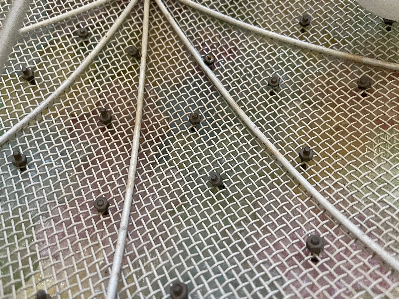 Plafoniera con fiori in vetro di Murano attribuita a Seguso, anni '60 6