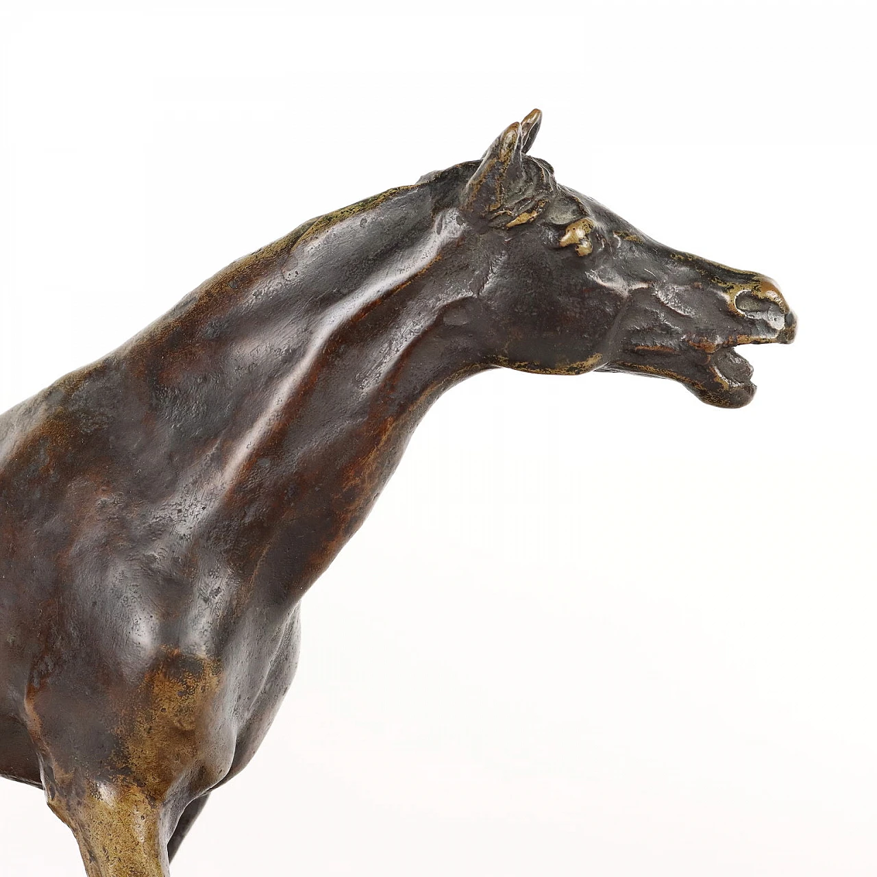 Scultura di cavallo in bronzo su base in marmo 6