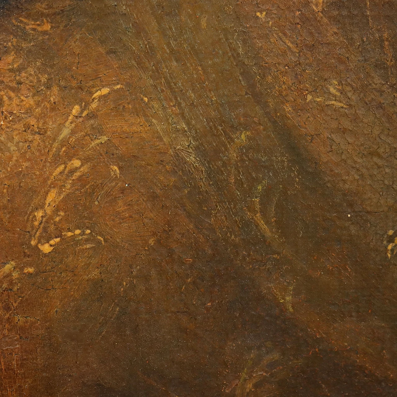 Volto di Santo, olio su tela, '600 5