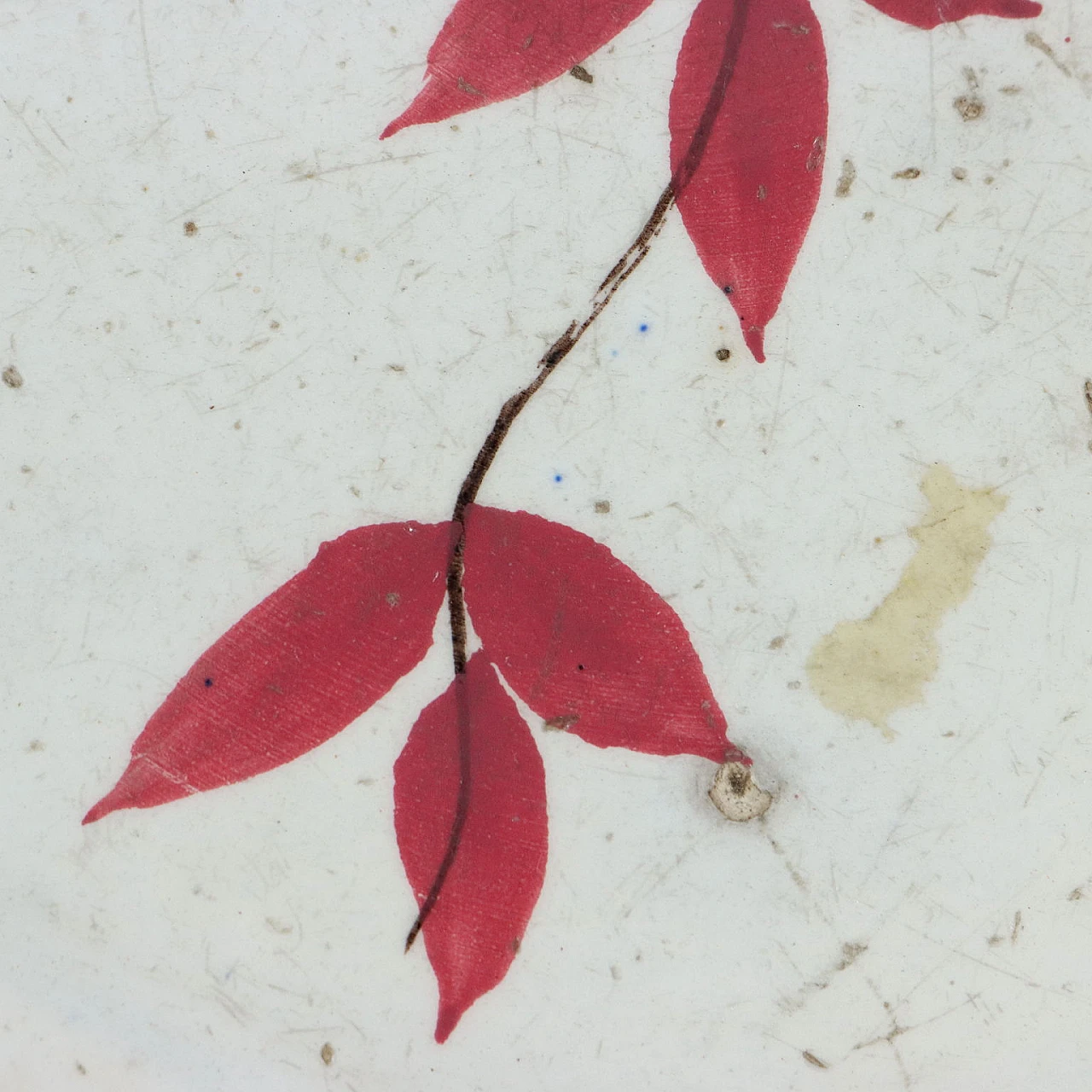 Piatto in ceramica di Laveno, inizio '900 5