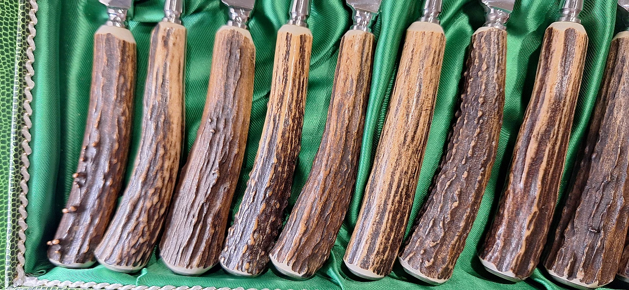 Cutlery set Othello Wingen Solingen, 70s 8