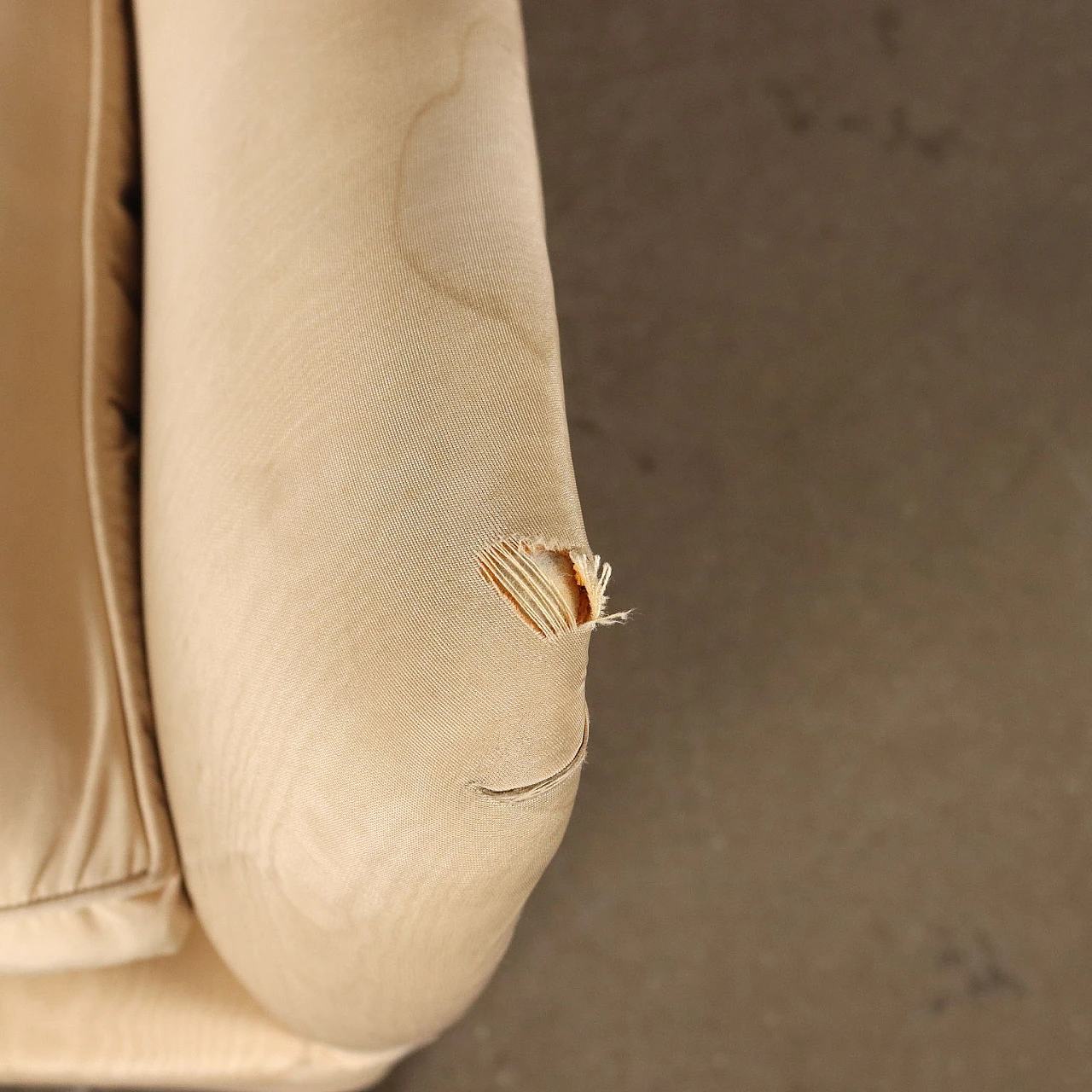 Coppia di poltrone con cuscini in piuma e gambe in legno tinto, anni '50 7