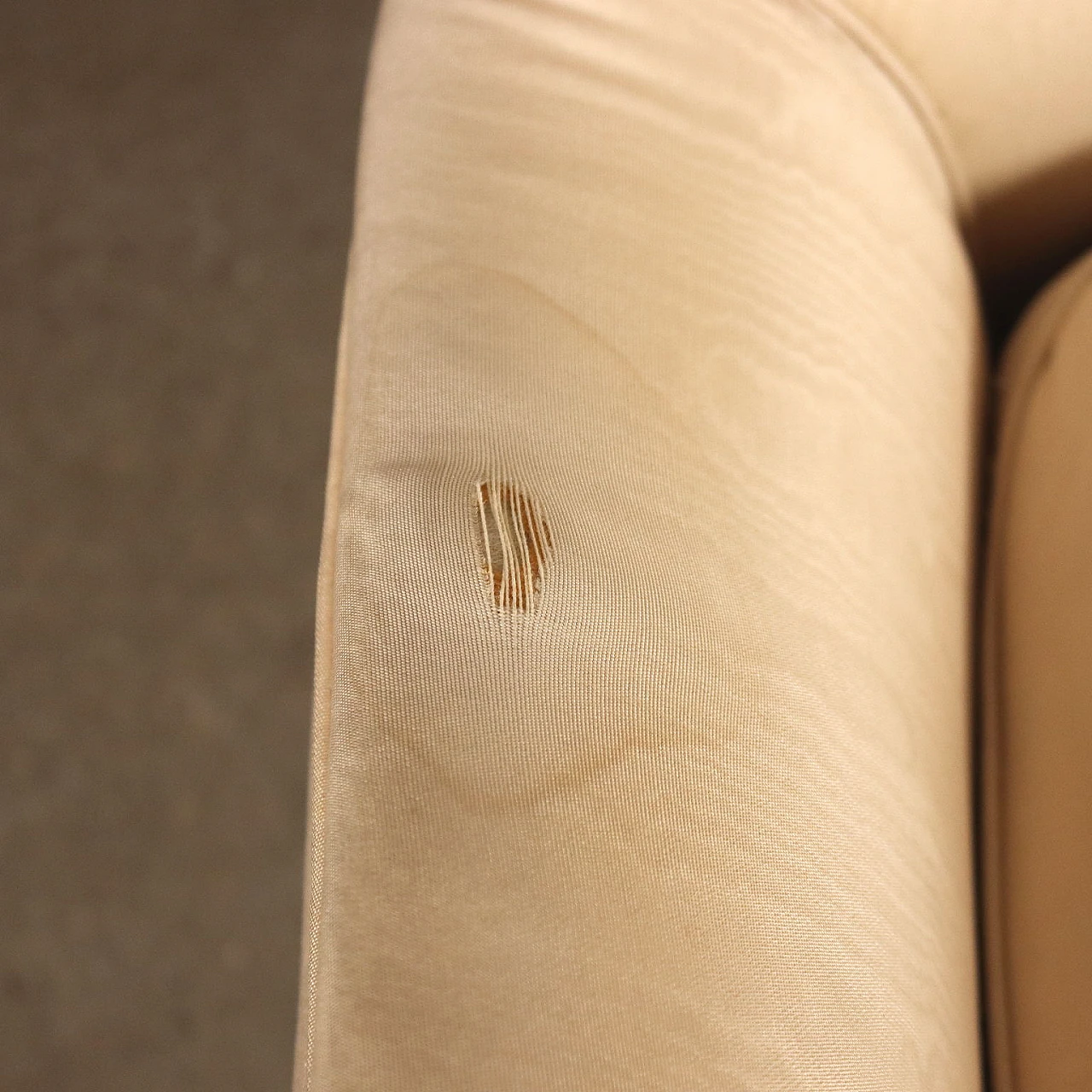 Coppia di poltrone con cuscini in piuma e gambe in legno tinto, anni '50 9