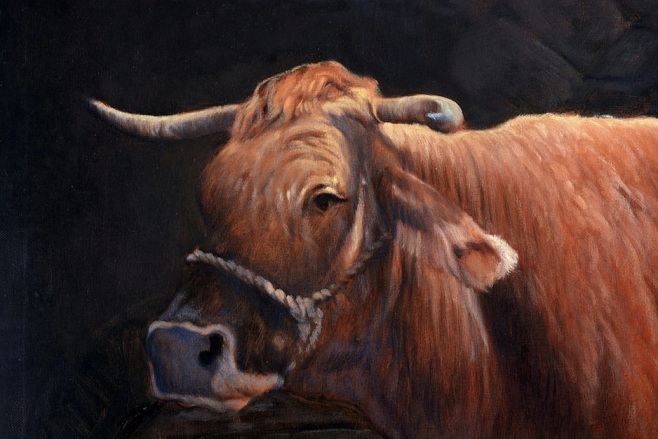 Nella stalla di Armando Romano, olio su tela, anni '80 5