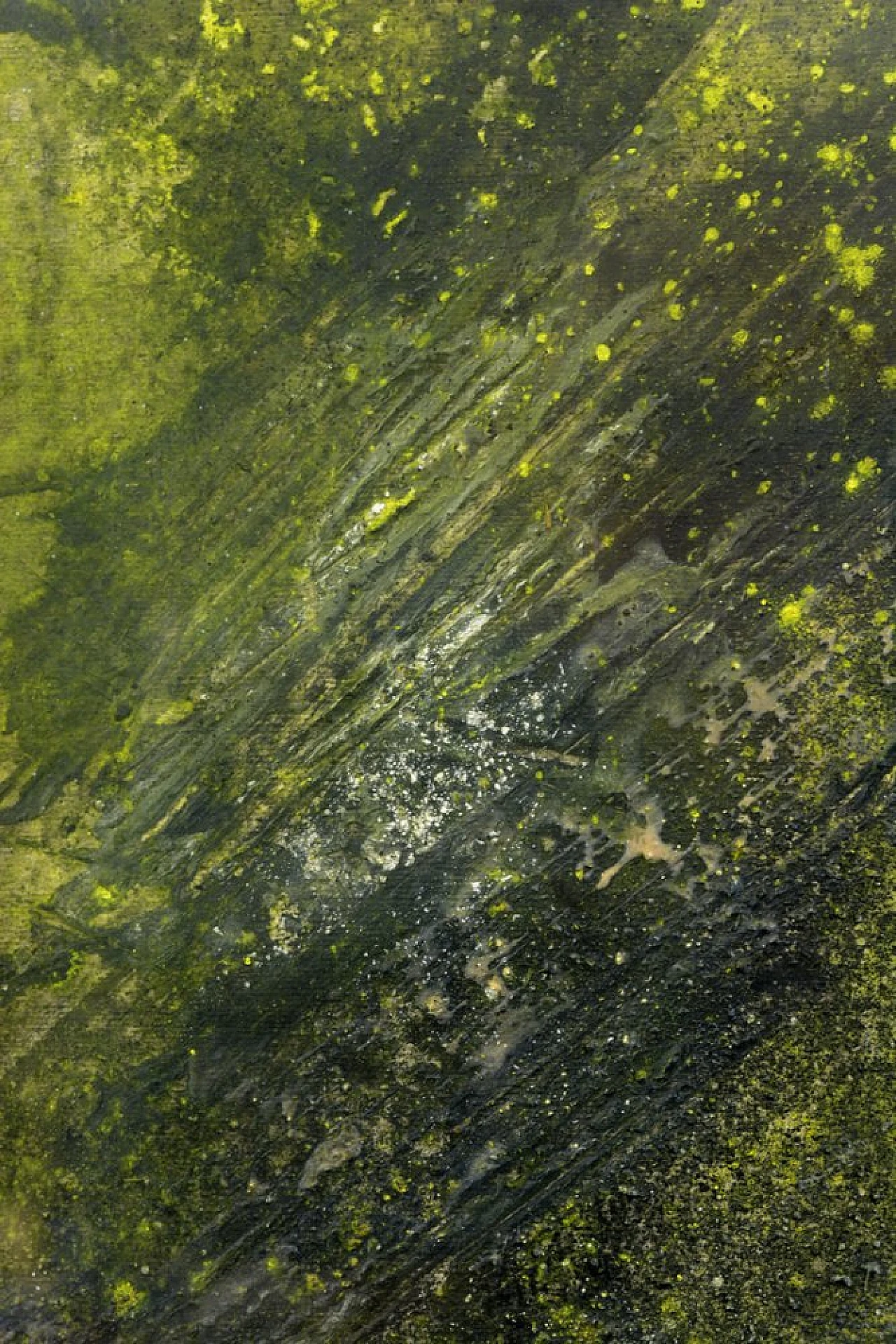 Notte di Domenico Spinosa, olio su tela con cornice, anni '70 4