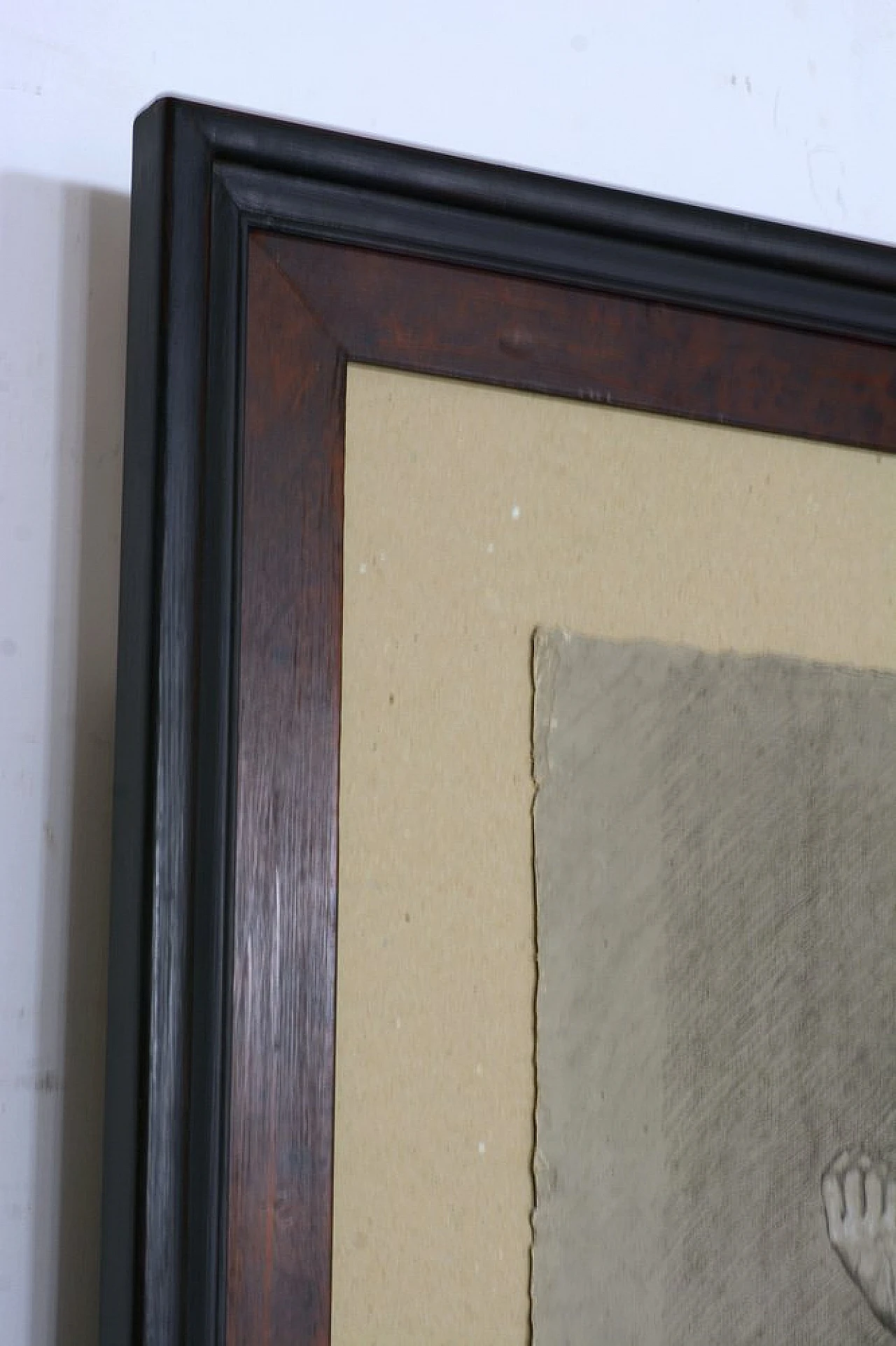 Study of a male nude, charcoal and pencil on paper, early 19th century 5