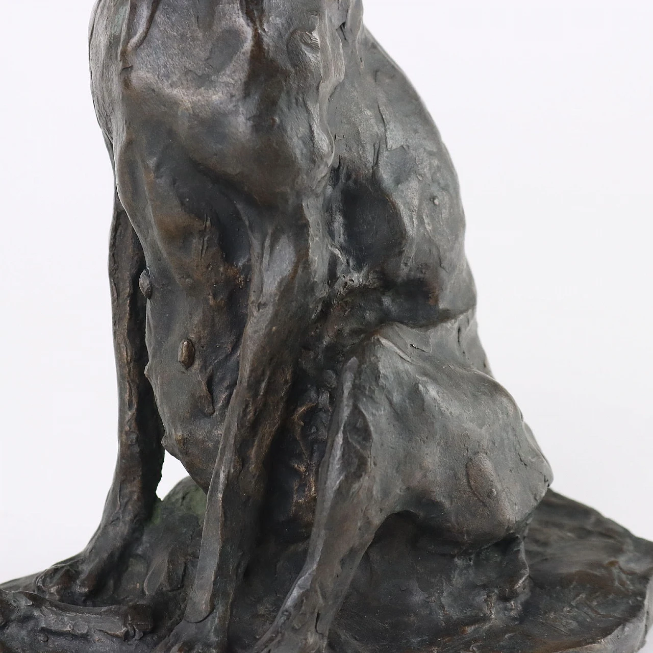 Paul Petrovitch Troubetzkoy, Sitting dog, bronze sculpture 5