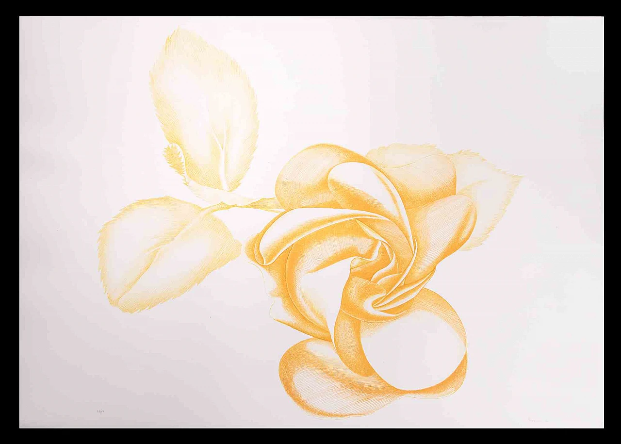 Giacomo Porzano, Yellow Rose, Etching 1960s-1970s 1