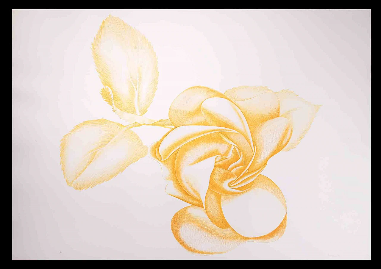 Giacomo Porzano, Rosa gialla, Acquaforte 1960-1979 1