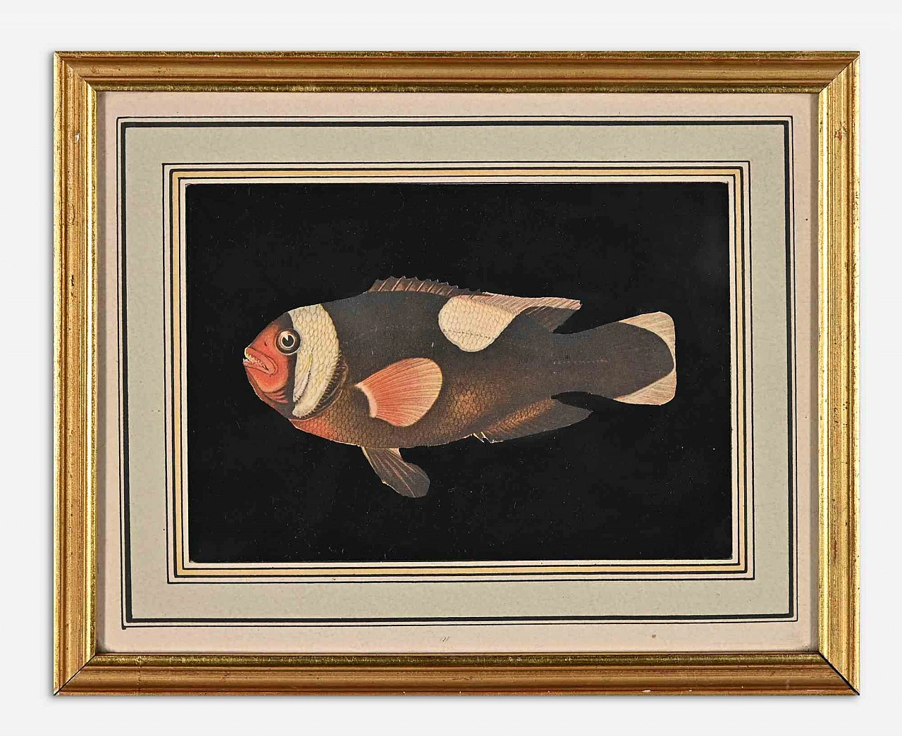 Artist XX century, Fish, Mixed Media 2000s 1