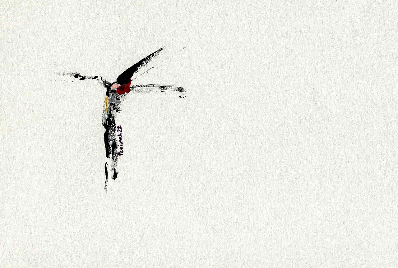 Parimah Avani, Il fiore della libertà, disegno-inchiostro acrilico Anni 2000 3