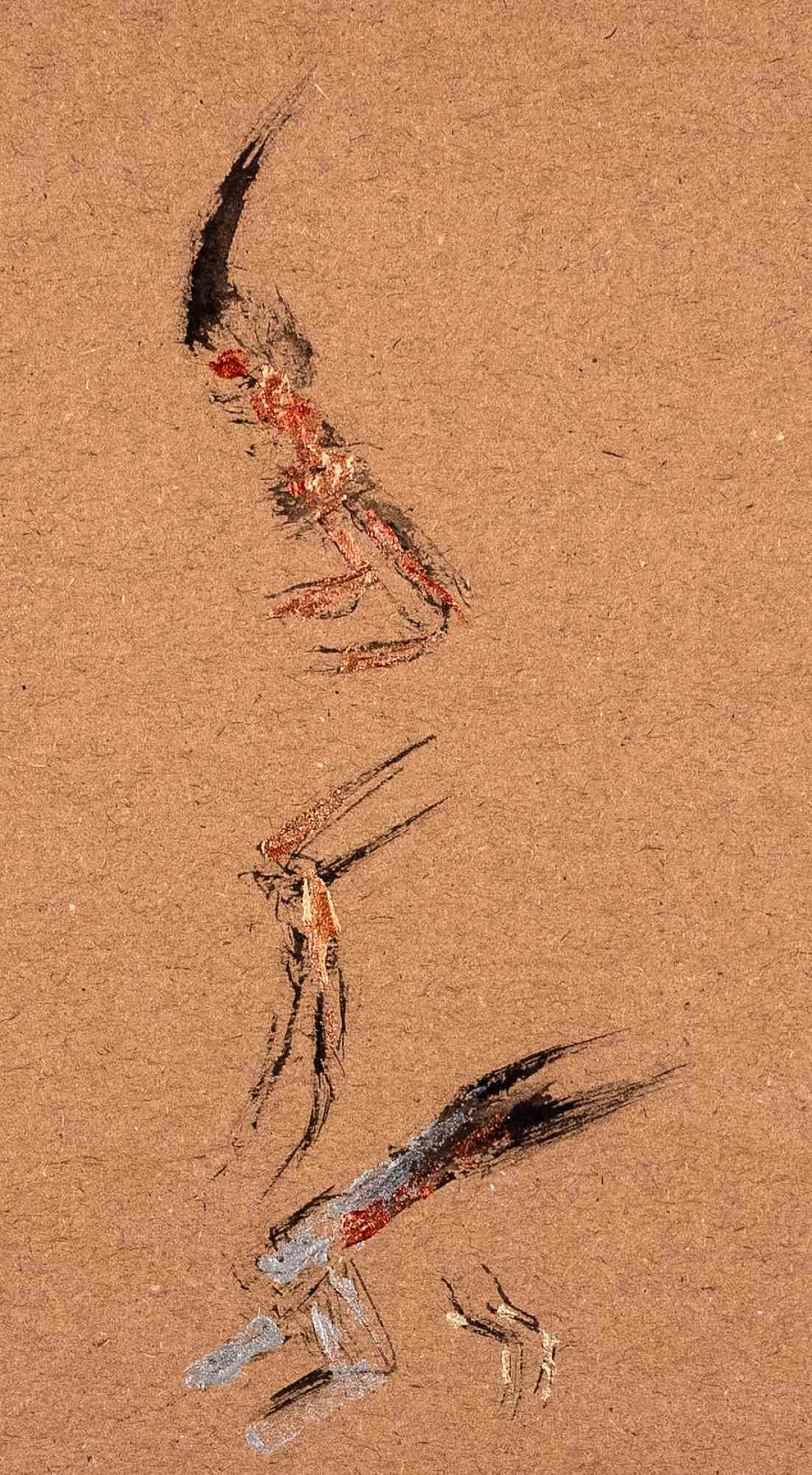 Parimah Avani, Silvery Song of Resistance, Drawing-Ink Acrylic 2000s 3