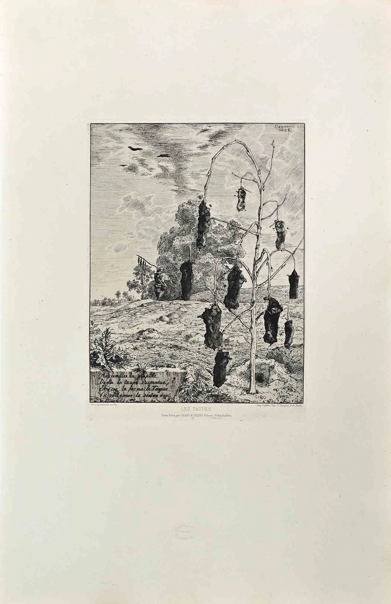 Félix Bracquemond, Les Taupes, Acquaforte '800 1