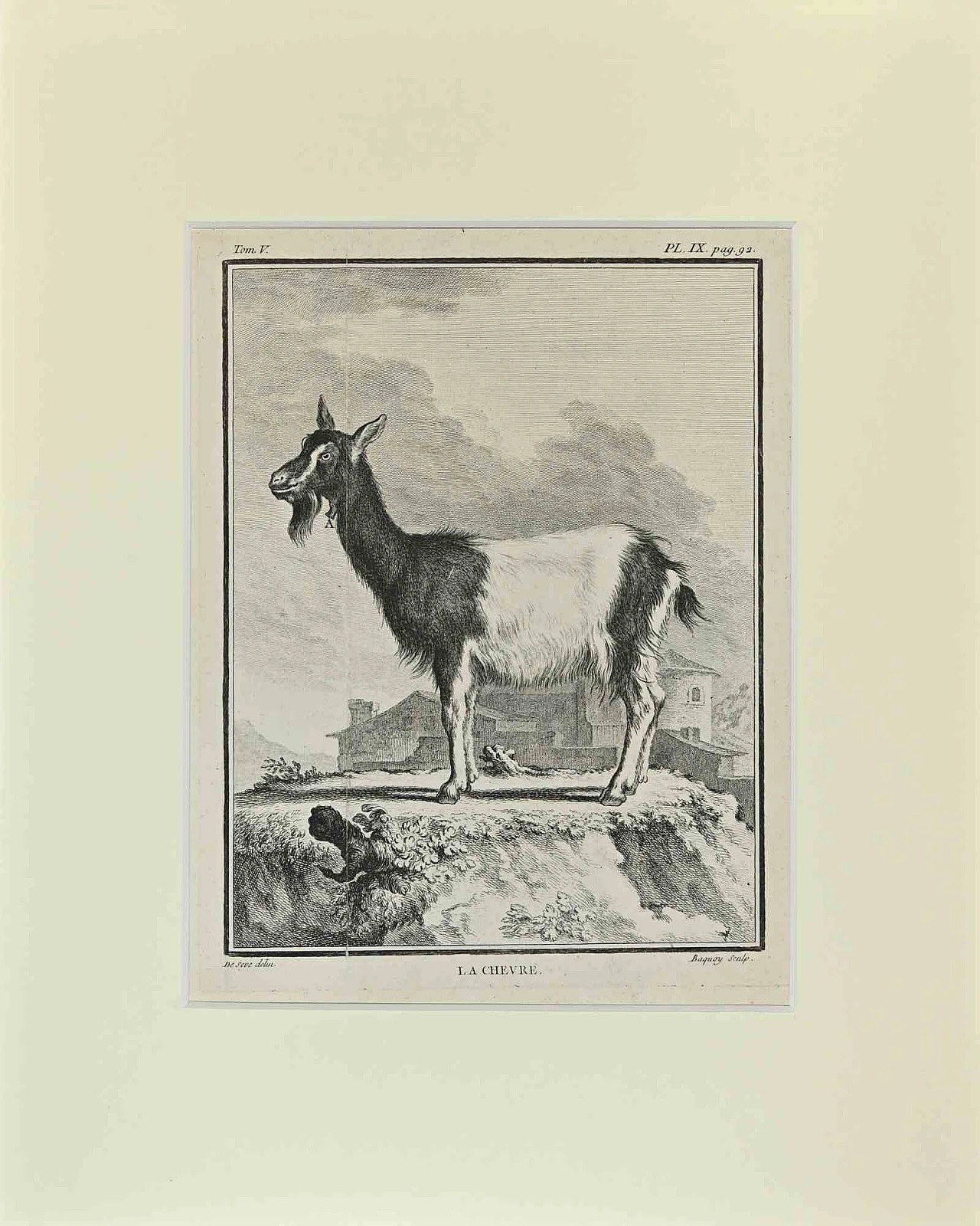 Buvée l'Américain, La Chevre, Etching 18th century 1