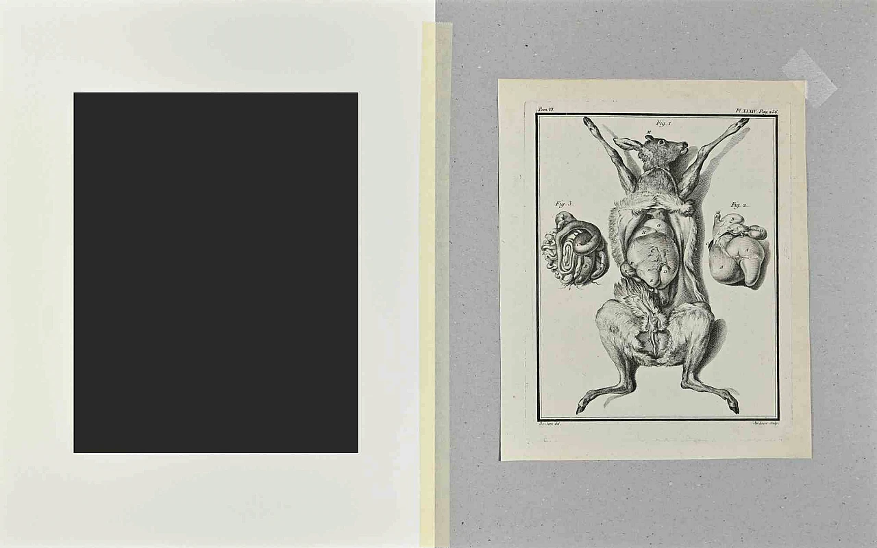 Claude-Donat Jardinier, Anatomia animale, Acquaforte '700 2