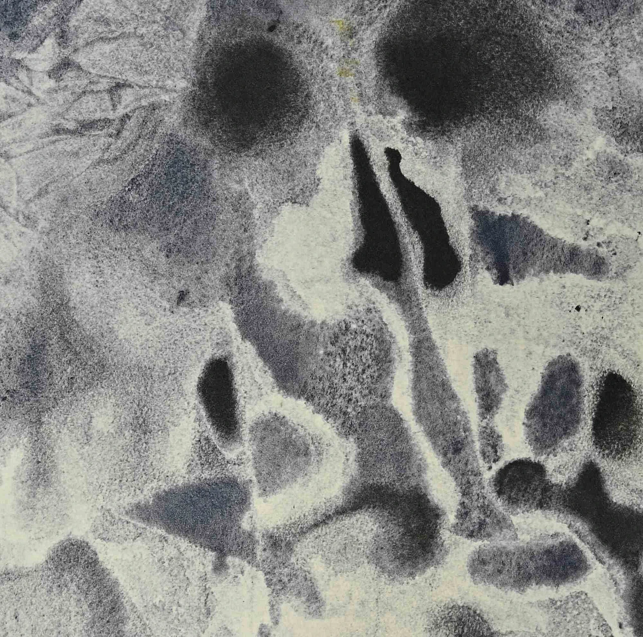 Salvador Dalì, Losias Sepultus in Mausoleo Patrum, Lithograph 1960s-1970s 2