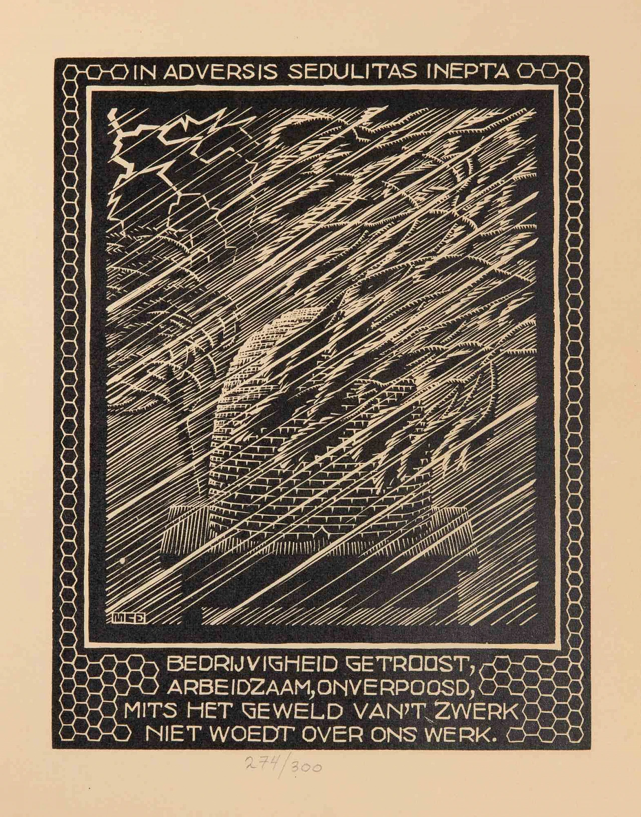 Maurits Cornelis Escher, Alveare, xilografia 1920 - 1939 1