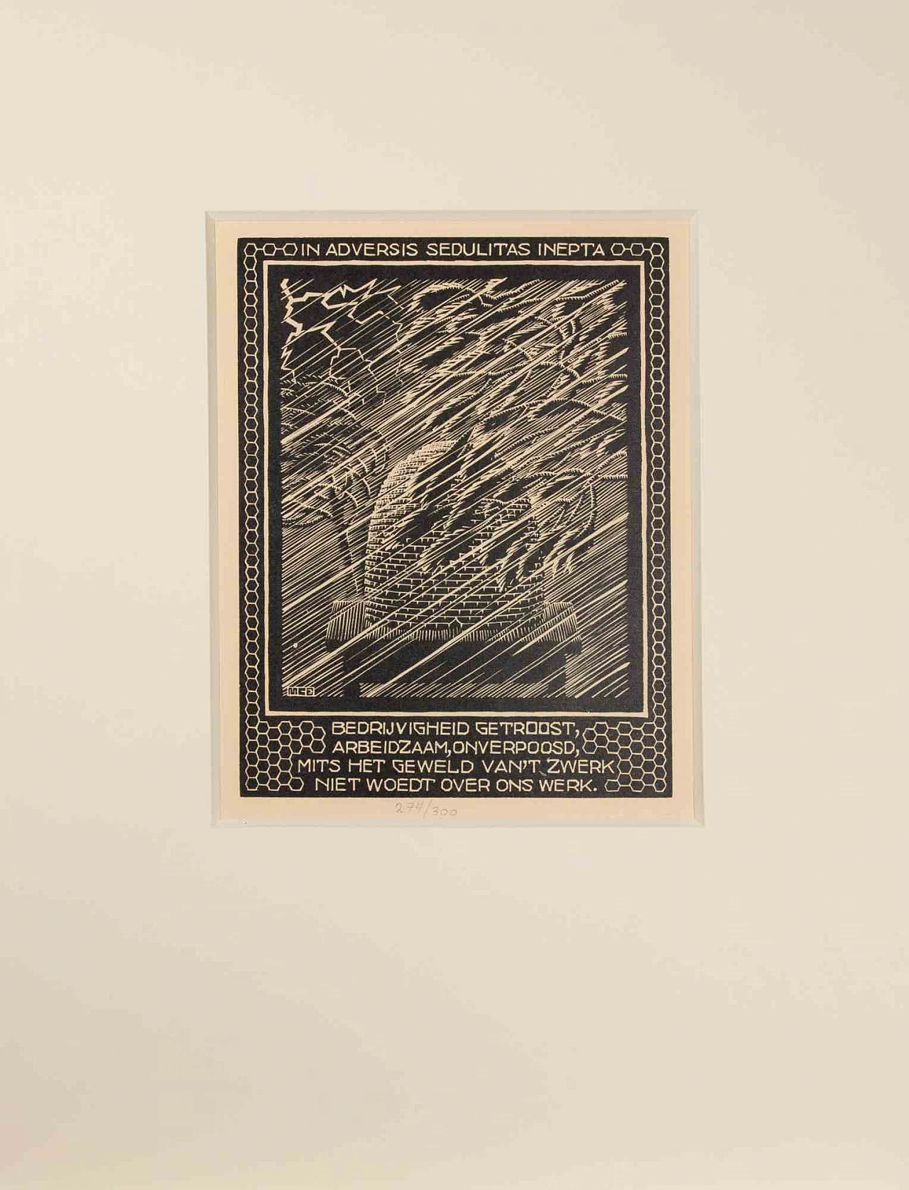 Maurits Cornelis Escher, Alveare, xilografia 1920 - 1939 2