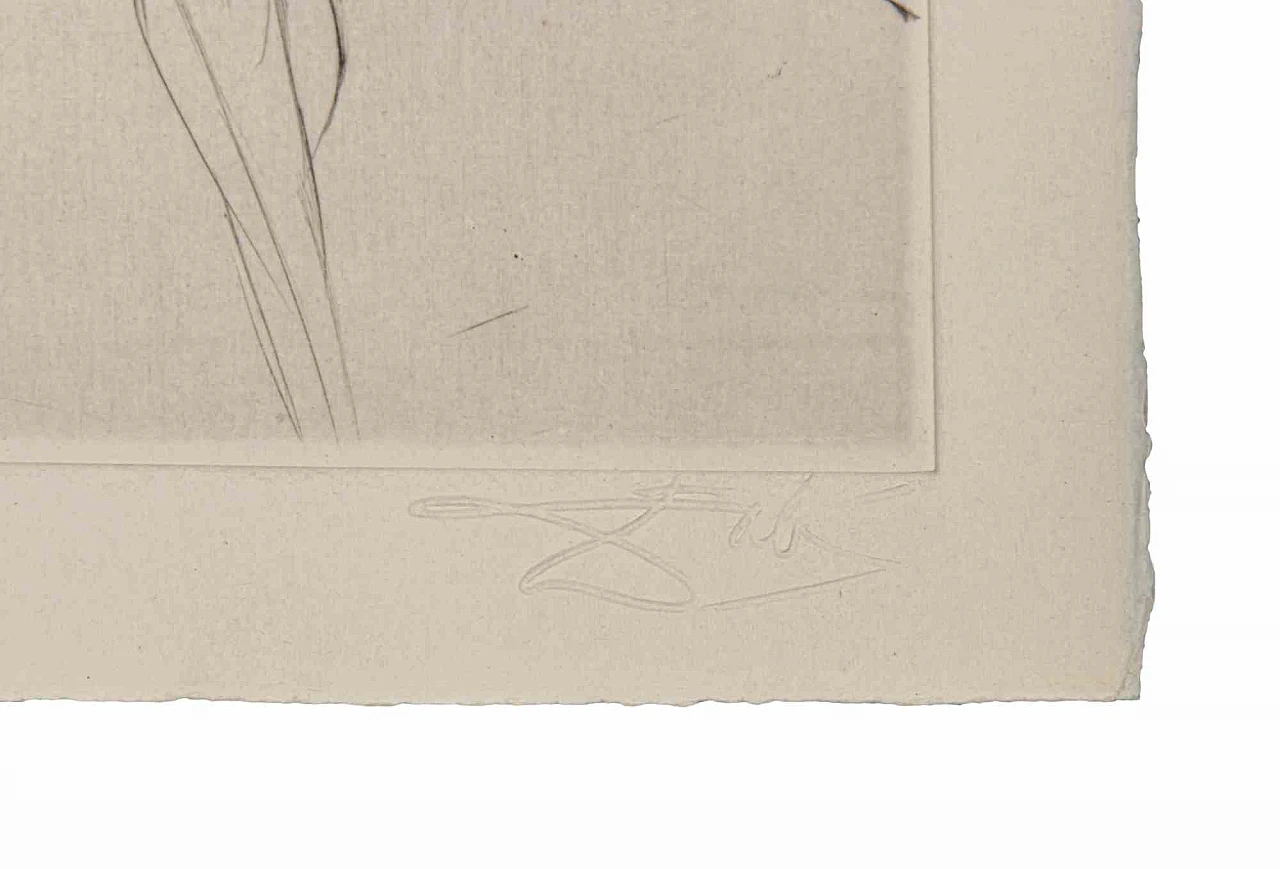 Salvador Dalì, Bicéphale, Etching Drypoint 1960s-1970s 3