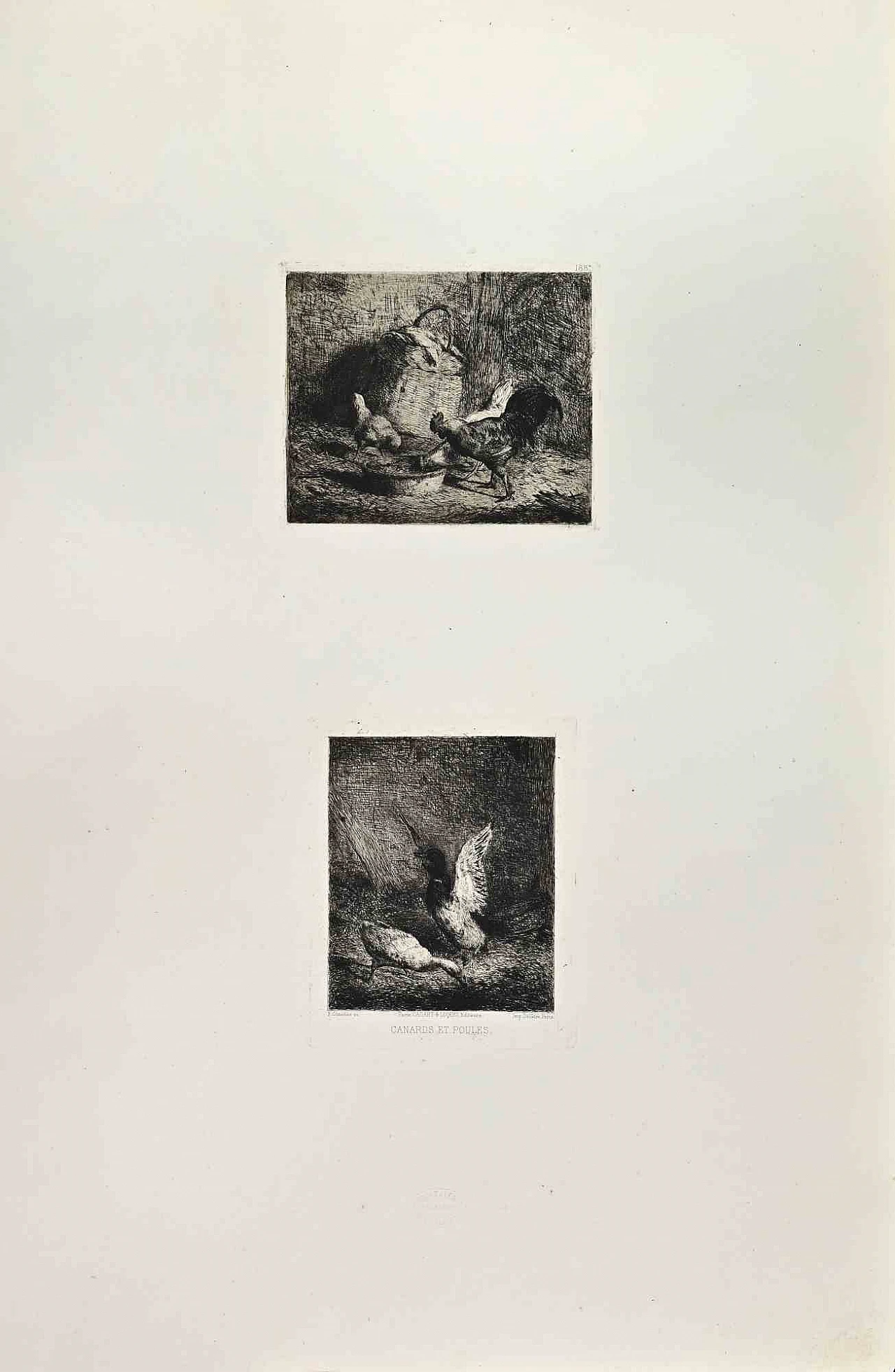 Francisco Gimenez, Canards et Poules, Etching 19th century 1