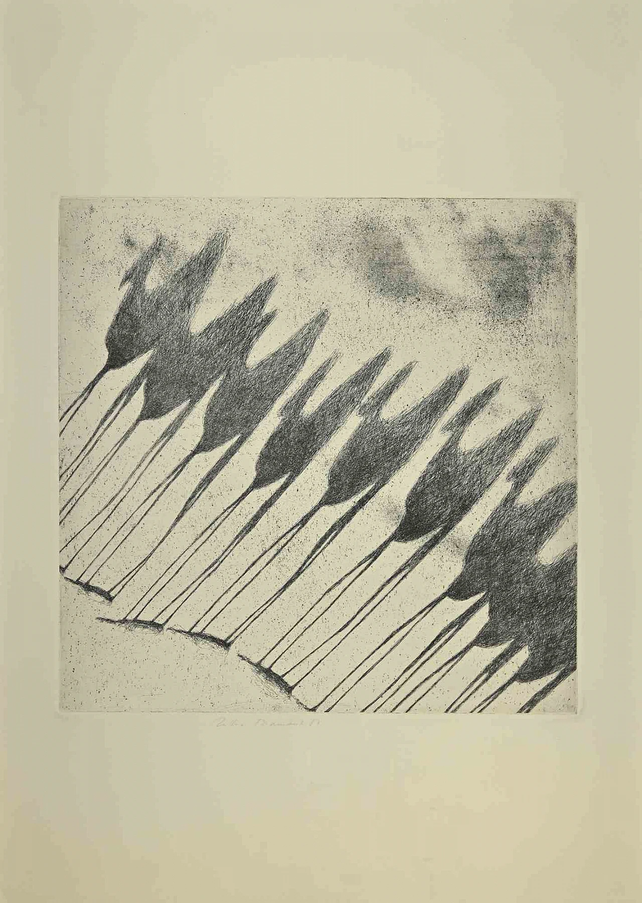 Tullio Diamanti, L'ombra dei cammelli, Acquaforte Anni 2000 1