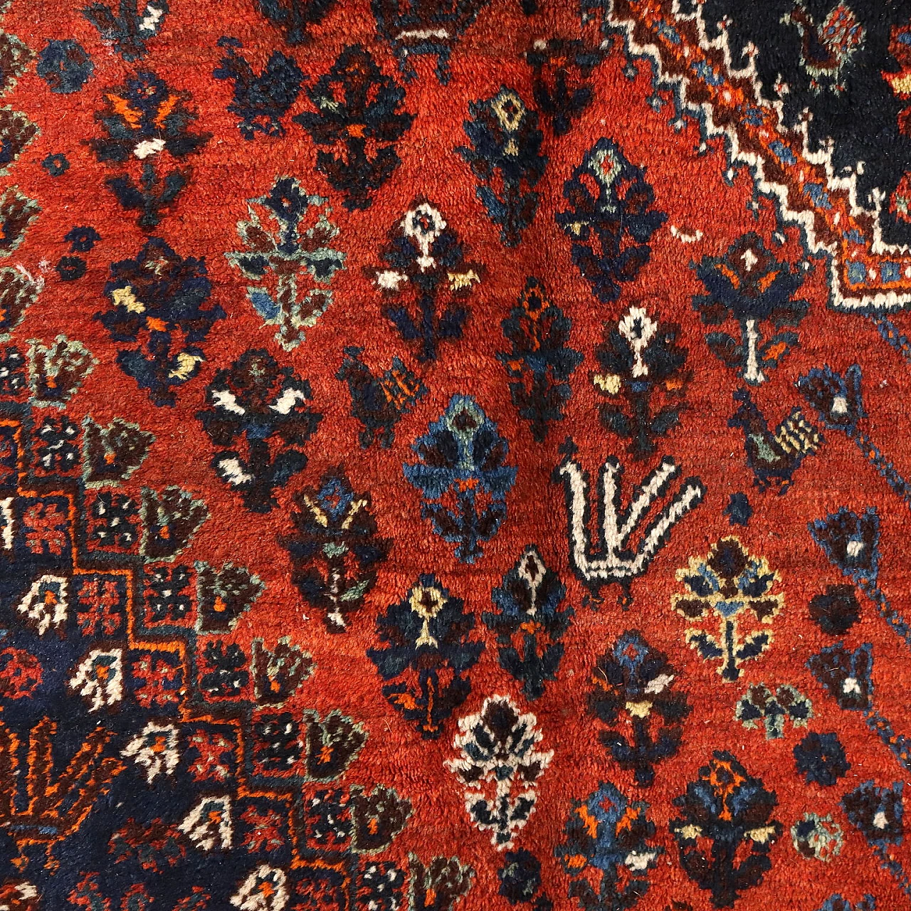 Tappeto Shiraz iraniano in lana 4