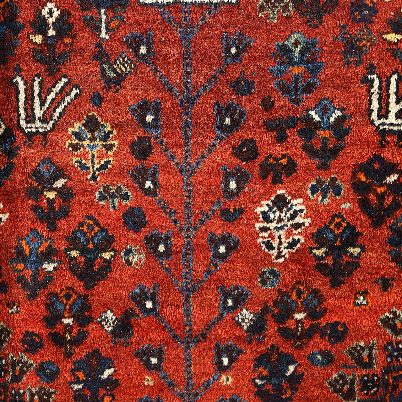 Tappeto Shiraz iraniano in lana 5