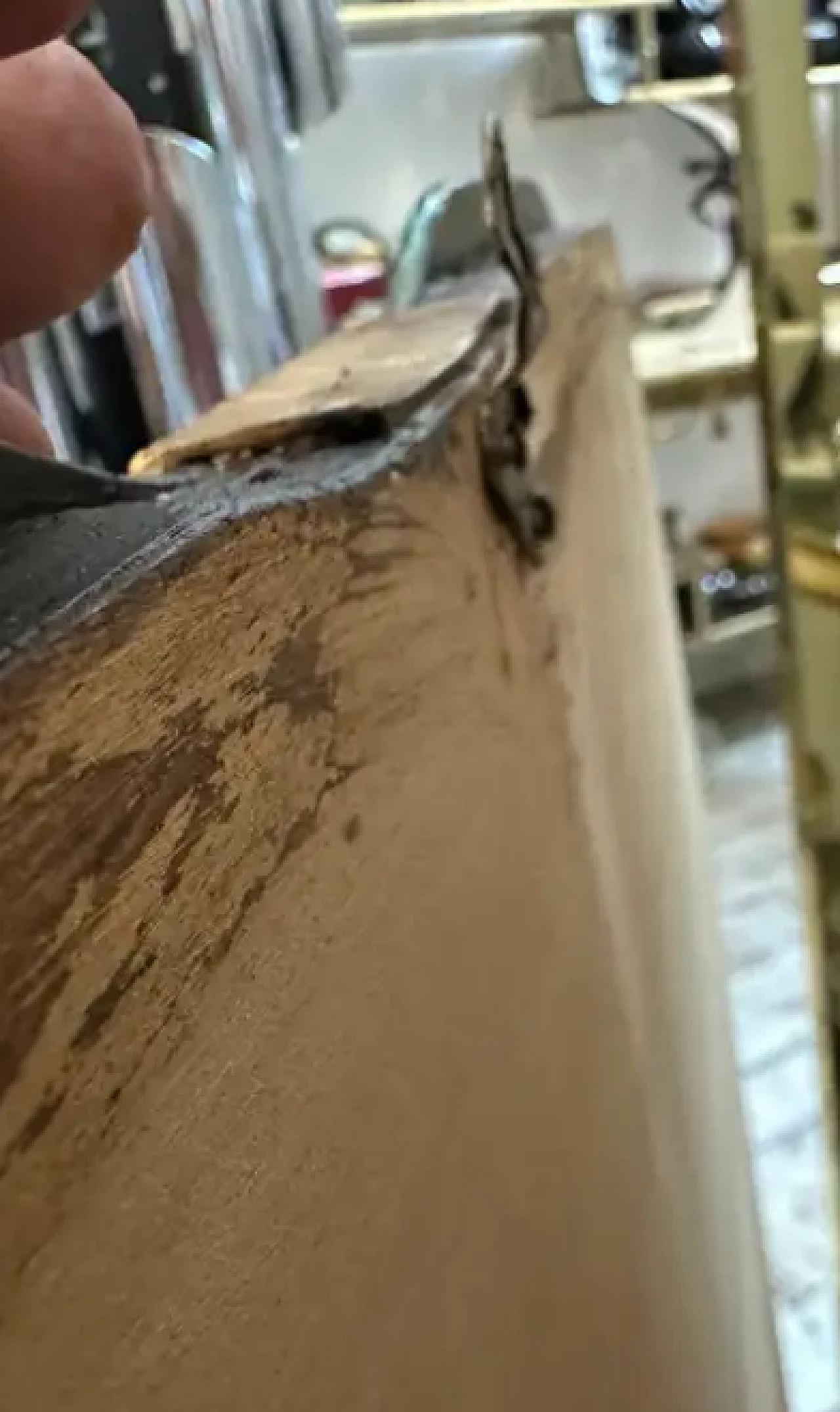 Wall mirror in the shape of a biscuit by Gio Ponti, 1950s 5