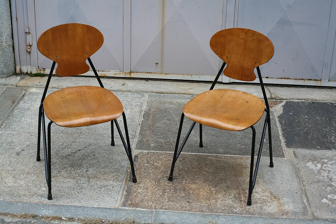 2 ISA chairs in teak and painted metal, 1960s 2