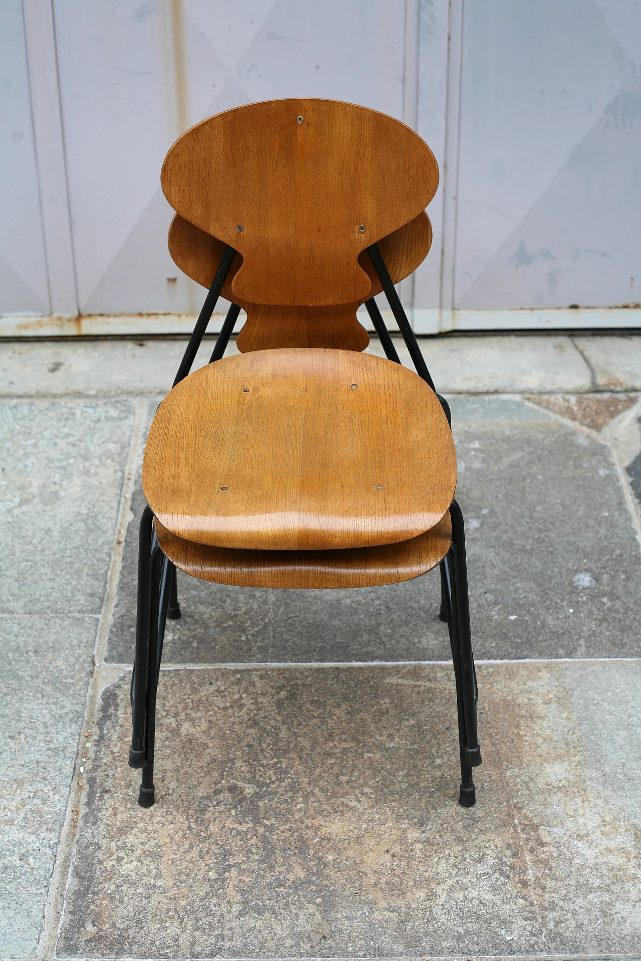 2 ISA chairs in teak and painted metal, 1960s 4