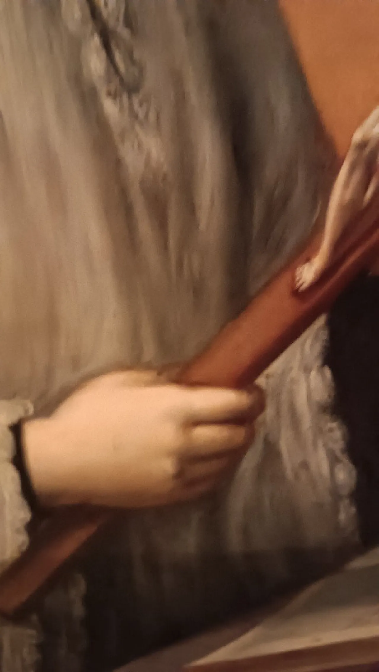 San Luigi Gonzaga con crocifisso, olio su tela, '700 8