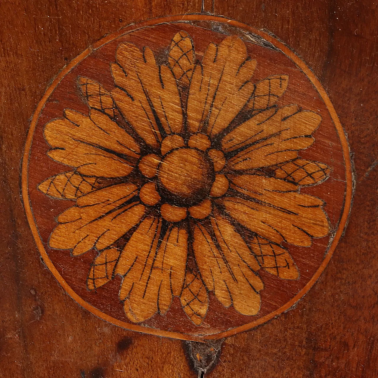 Comodino in noce e acero con piedini tronco-piramidali, '700 4