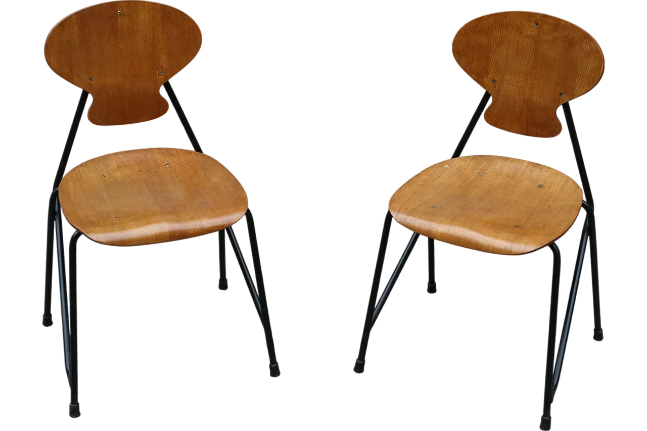 2 ISA chairs in teak and painted metal, 1960s 8