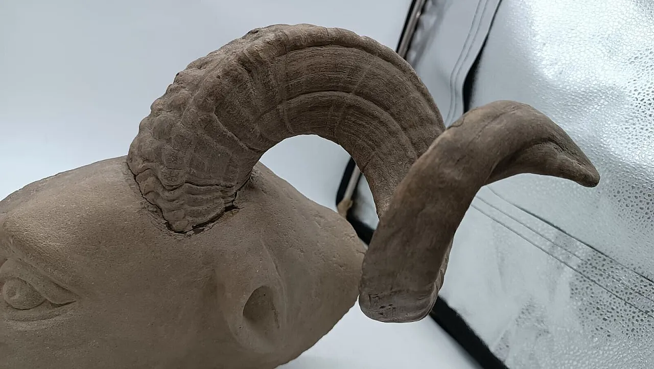 Ram's head, sculpture in pietra serena, early 20th century 5
