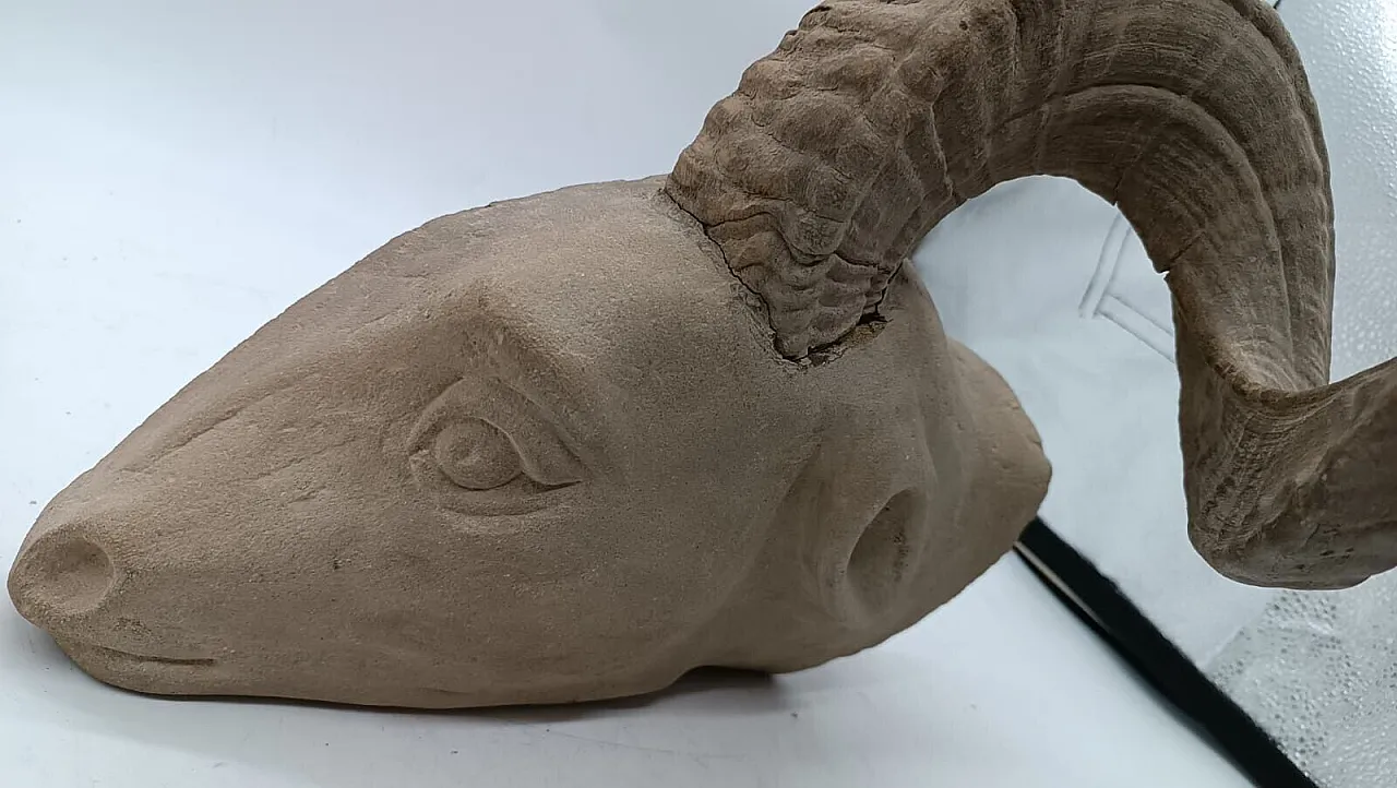 Ram's head, sculpture in pietra serena, early 20th century 6