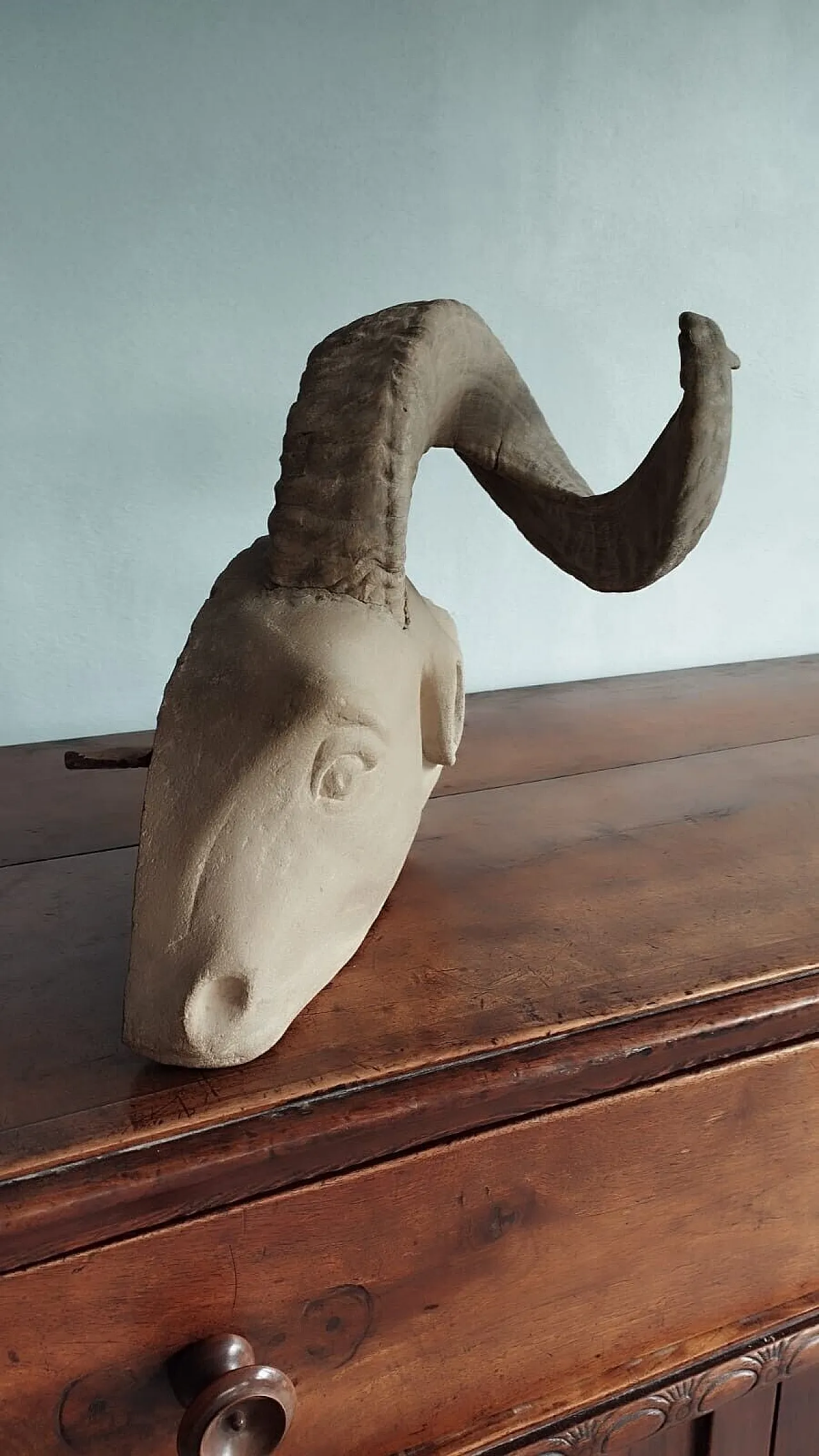 Ram's head, sculpture in pietra serena, early 20th century 8