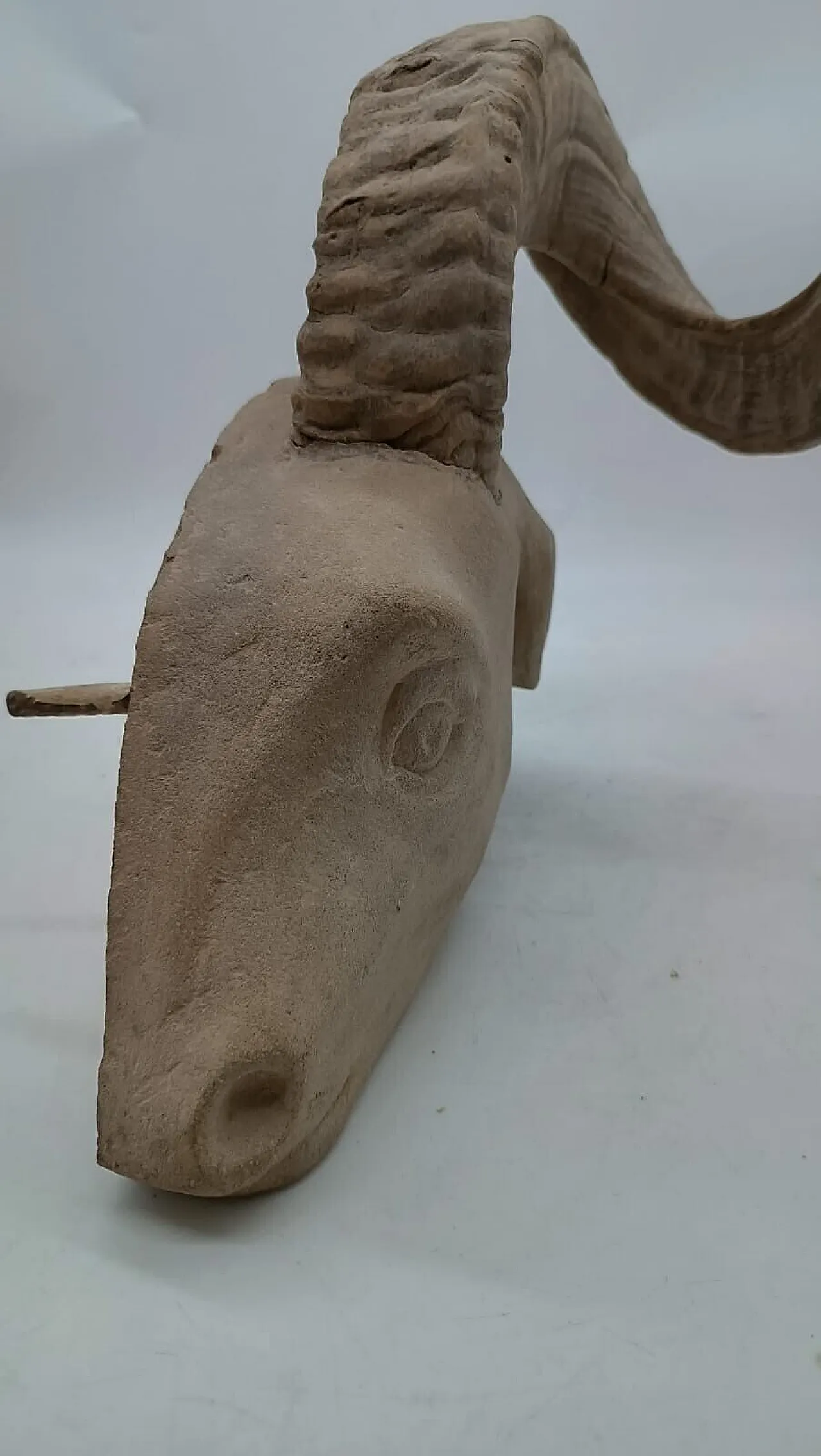 Ram's head, sculpture in pietra serena, early 20th century 10