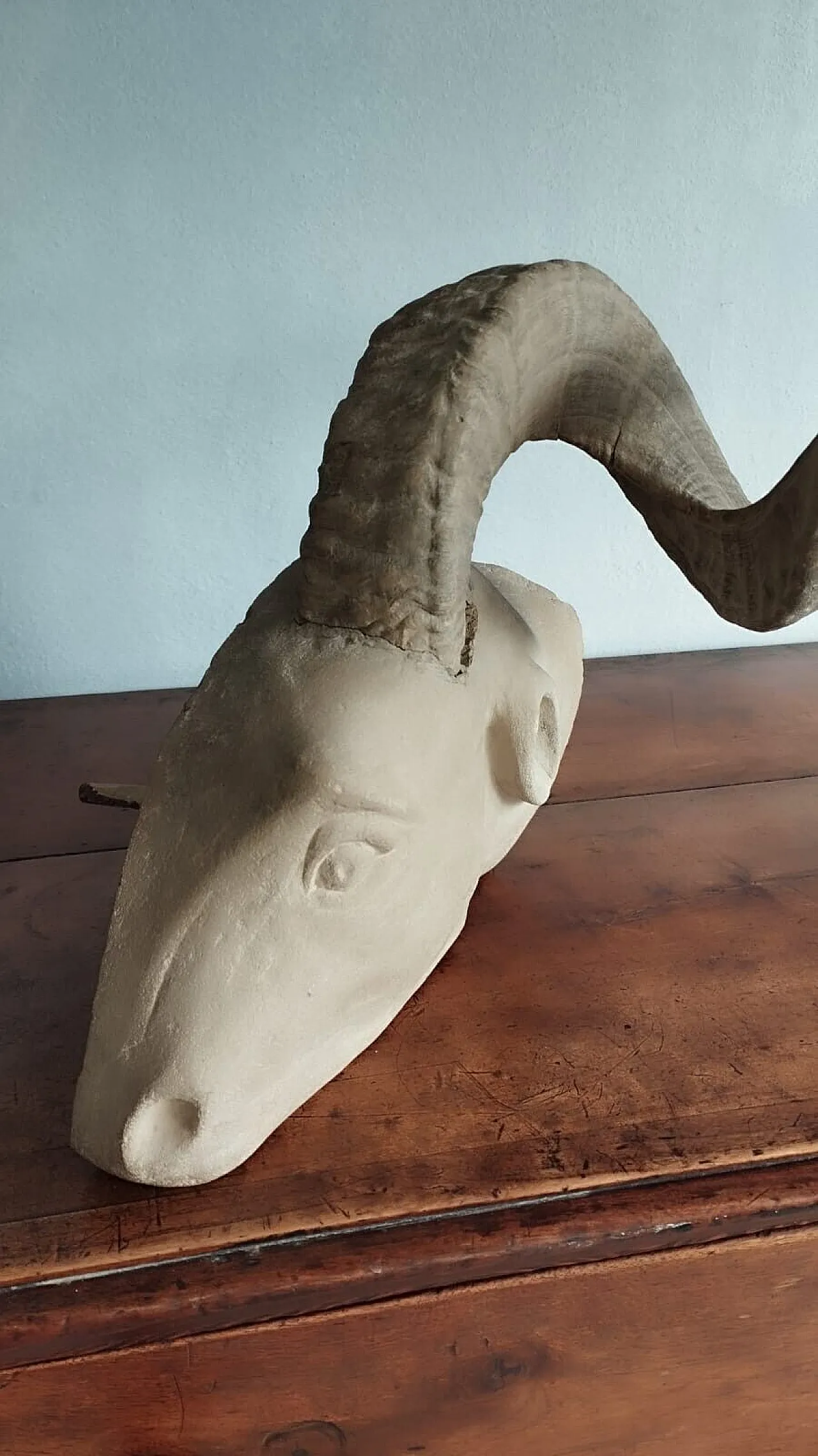Ram's head, sculpture in pietra serena, early 20th century 12