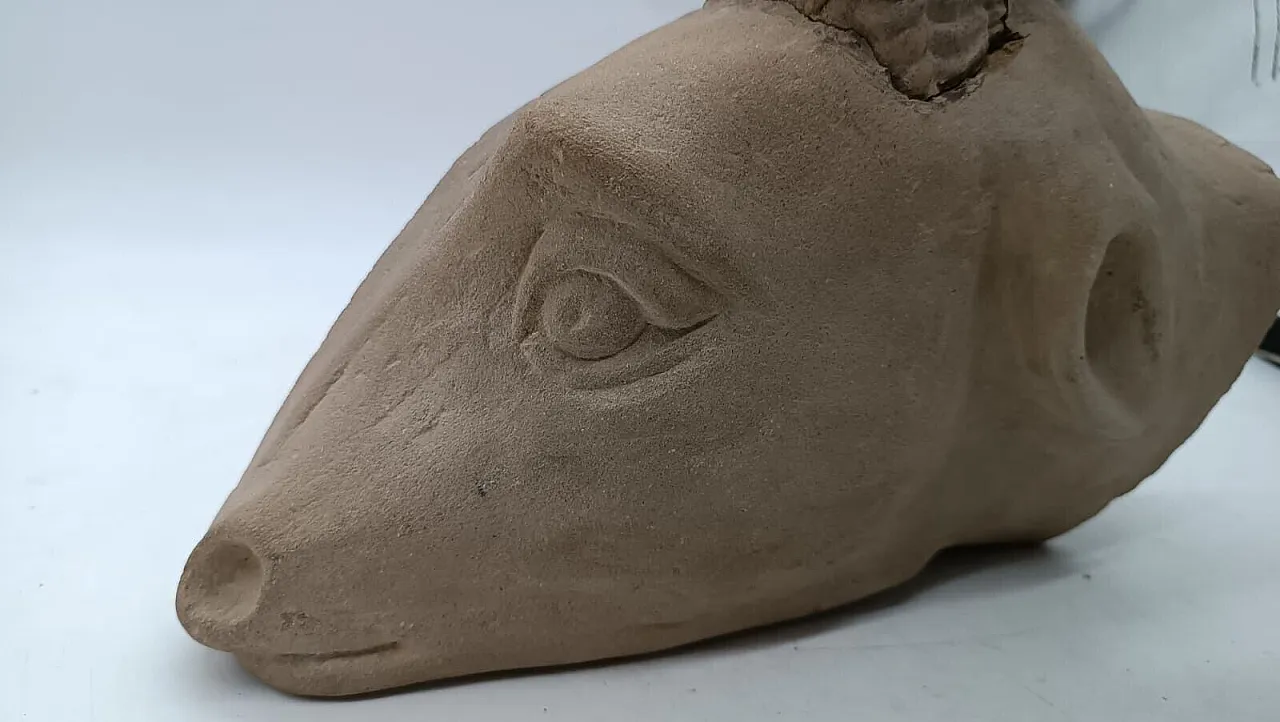 Ram's head, sculpture in pietra serena, early 20th century 13