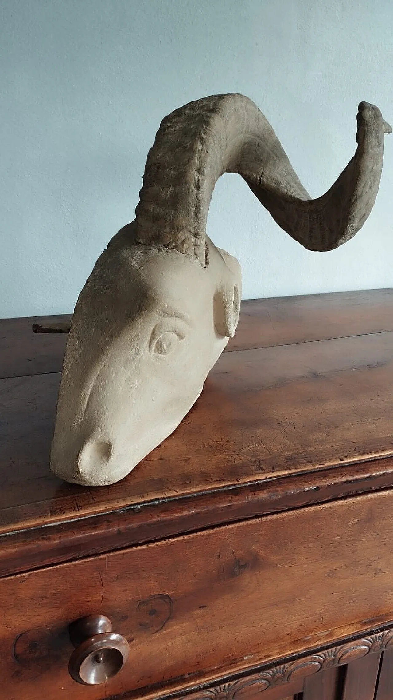 Ram's head, sculpture in pietra serena, early 20th century 14
